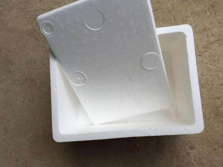 蔬菜泡沫ç®? align= 蔬菜泡沫ç®? width=